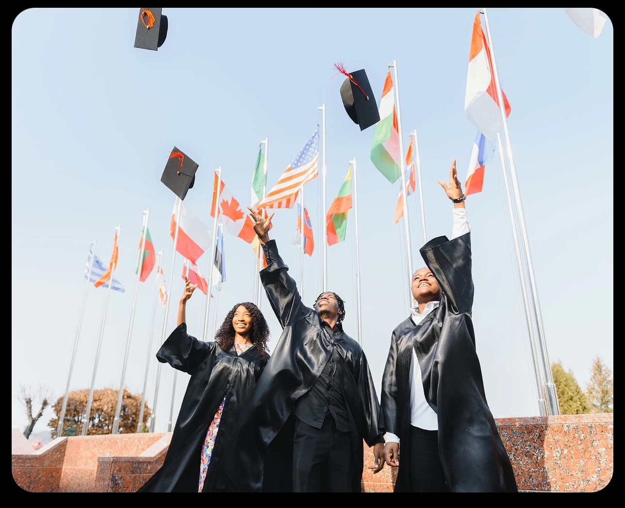 Illustration representing Study Visa services